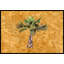 Paillasson d’extérieur Westdale Palm Tree-1842221366