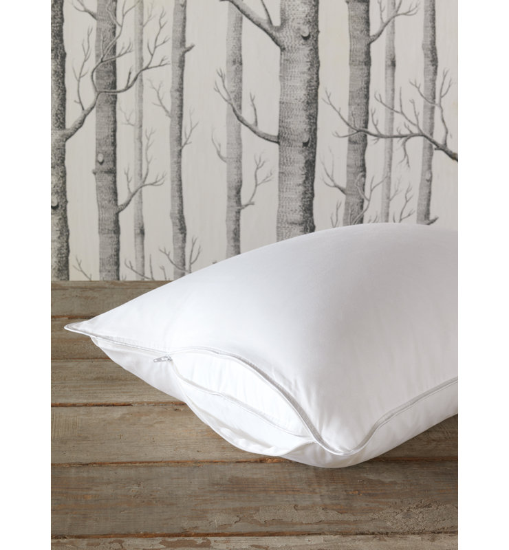 Tenor Pillow, Queen