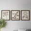 Antique sépia botanicals I - ensemble de 3 reproductions d'art sur toile-1241077293-1241077285