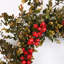 24" Artificial Fall Autumn Mini Eucalyptus Berry Front Door Wreath For Thanksgiving Day