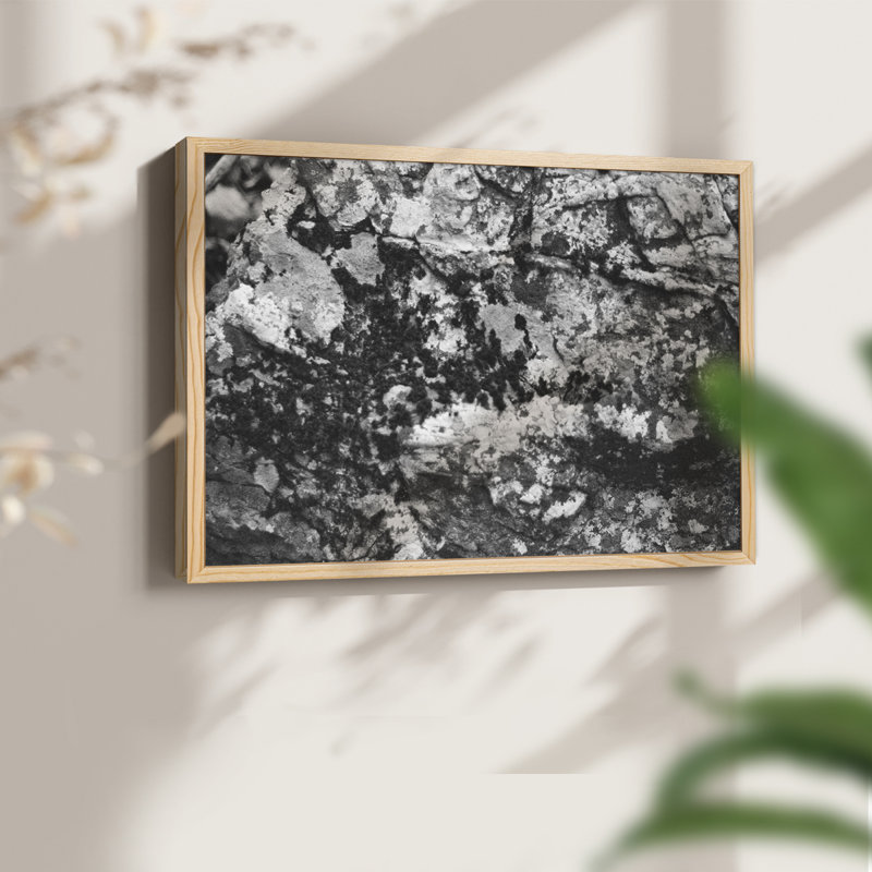 Found Textures XX -Framed Print - Restickable, Natural, 11" H x 14" W