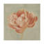 « spring pivoine i », peinture sur toile tendue-771026665