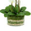 Orchids And Leaves Arranged In An Oblong Clear Glass With Moss And Rocks