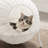 NALA 19.5" Wicker Cat Condo-66671238