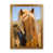 Brown Framed is unavailable