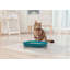P-Tex Anti-Microbial Mat Transparent-36039355