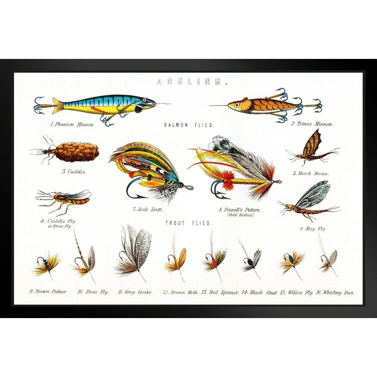 Angling Salmon And Trout Flies Illustration Black Wood Framed Art Poster  20x14 Framed On Paper Print