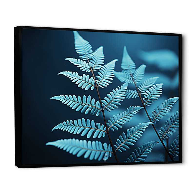 Ferns Turquoise Whimsy III - imprimé, Cadre flottant noir, H 24 po x l 32 po x P 1 po