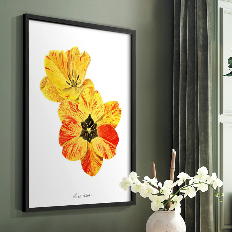 Olive's Tulips I, reproduction encadrée - bois massif, Noir, H 28 po x l 22 po