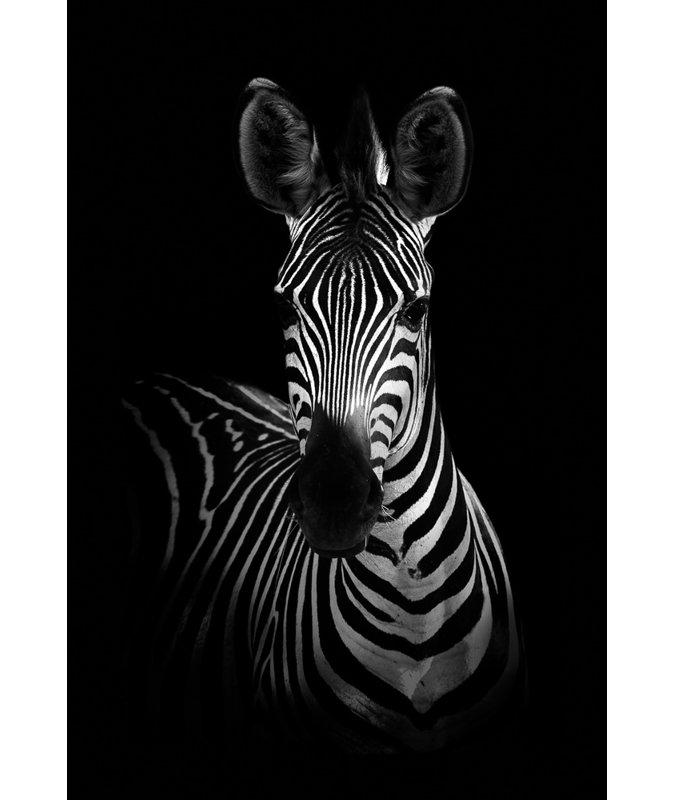 Wrapped Canvas Print, 60.96 cm H x 91.44 cm W