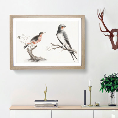Songbird & Bee-Eater Bird by Johan Teyler - Picture Frame Graphic Art Print