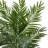 60'' Faux Palm Tree in Wood Planter