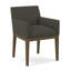 Upholstered Arm Chair-35998930-35999087