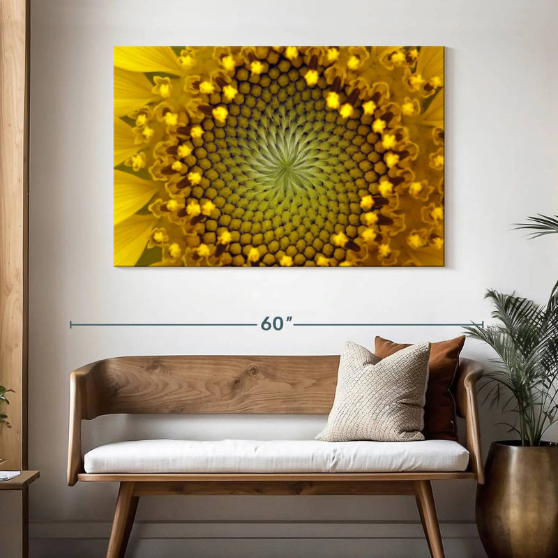 Tournesol symétrique