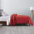 Brushed Cozy Touch Microfiber Down-Alternative Comforter-1303098023-1292386878