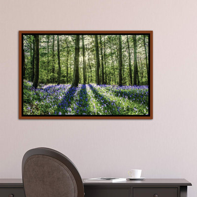 «Bluebell Wood», reproduction