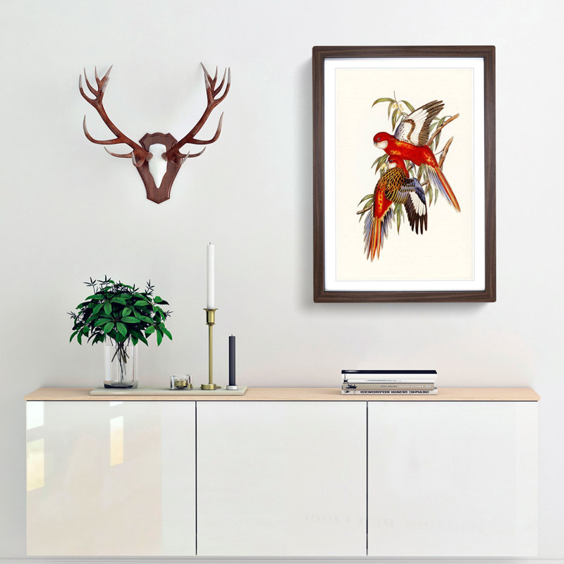 Fiery Parakeets by Elizabeth Gould - Picture Frame Art Print, 36cm H x 27cm W x 2cm D, Walnut Framed