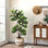 Figuier artificiel figuier - plante artificielle en pot pour la maison et le bureau