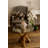 Espana Coffee Table-42005625