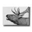 «Deer» par PhotoINC Studio-1011329295