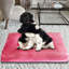 Tapis / coussin Risborough-567300382