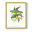 «Lime & Cerulean Parrots II», reproduction encadrée - bois massif-120784352