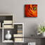 «Orange Flower Close Up» par Tom Quartermaine-499981869