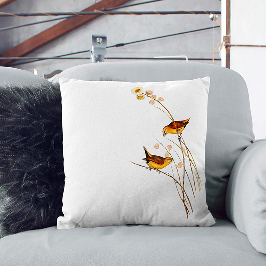 Rumped Finch Birds by Elizabeth Gould Cushion with Filling