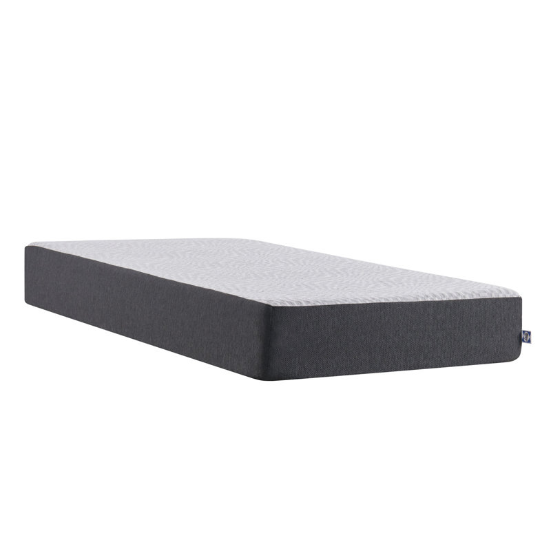 Sealy F03-00155-QN0 Essentials 10 In Hybrid Mattress in a Box, Queen Size, White
