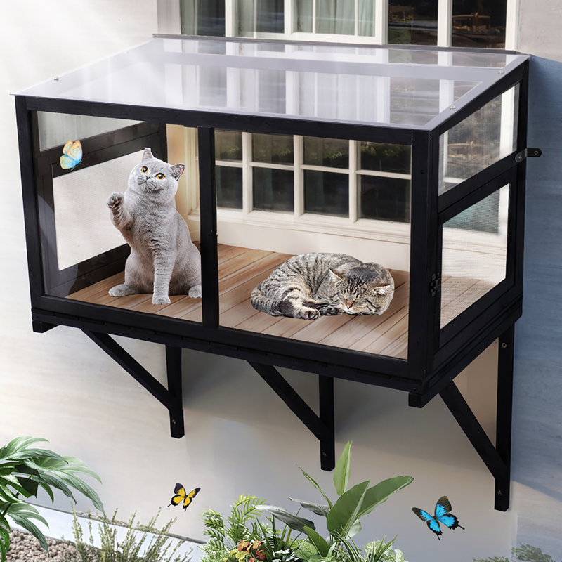 Boîte de fenêtre pour chat Cat