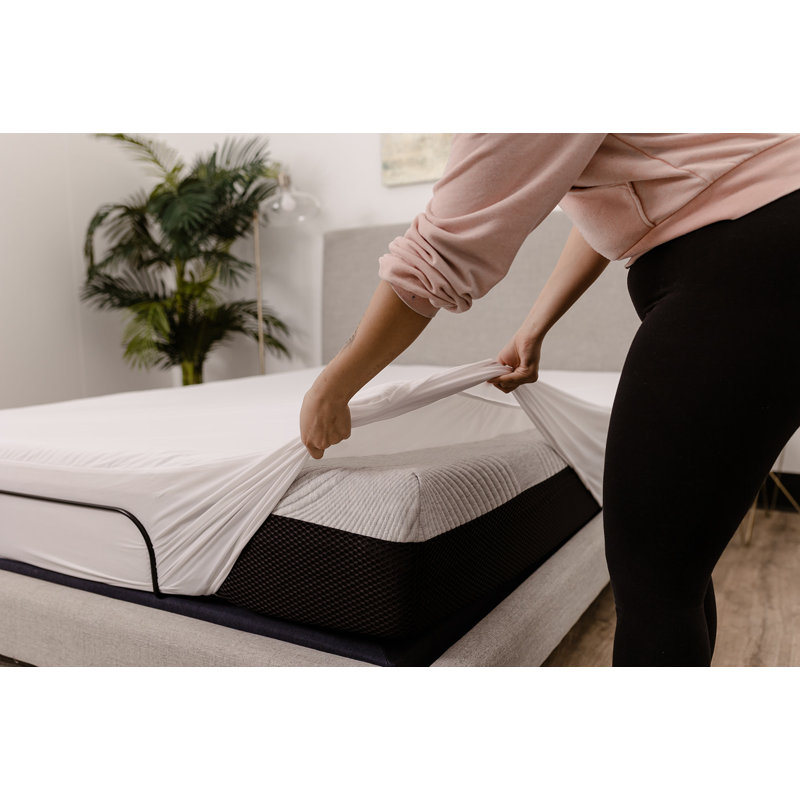 Rudnick Waterproof Fitted Mattress Protector Mattress Protector Case Pack, Queen