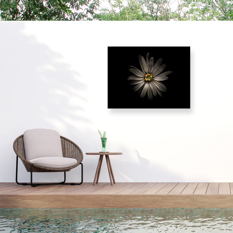 «Bolologia fleurs de jardin» sur toile, H 18 po x l 24 po