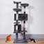 Arbre à chat 59,8 po H Teri-1126080014