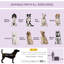 Carlee Pet Carrier-675858398