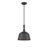 Hempstead 1-Light Dimmable Dome Pendant-1953057661