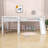 Farand Twin Size L-Shaped Loft Bed With Ladder And Slide-878364776