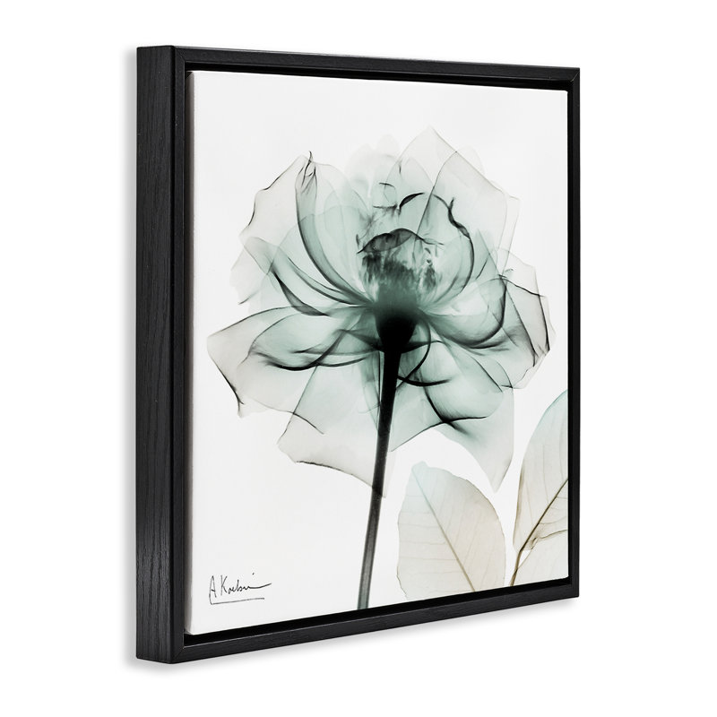 Cadre flottant transparent avec fleurs en fleurs, design par Albert Koetsier, H 18 po x l 18 po, Cadre flottant noir de jais