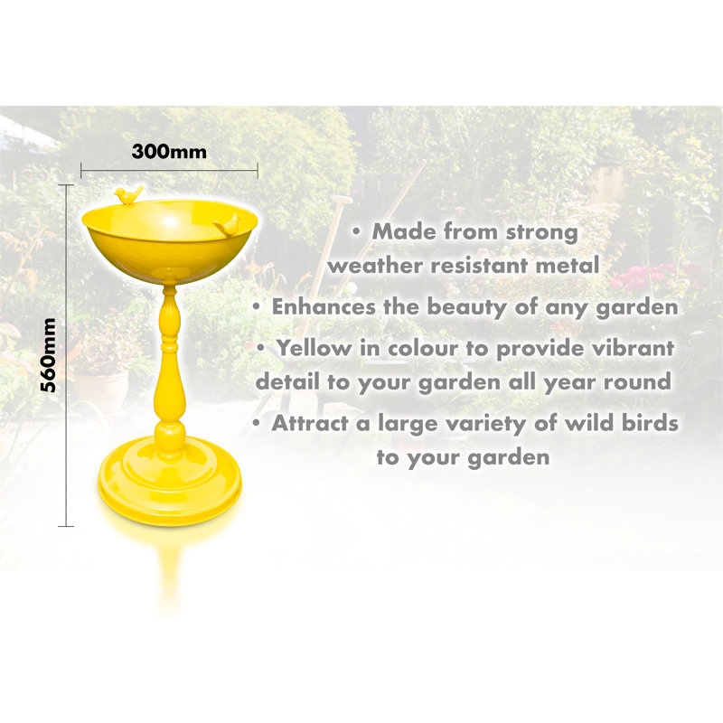 Marisela Weather Resistant Bird Bath 