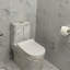 Toilette allongée monopièce à double chasse (siège inclus)