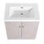 Meuble-lavabo autoportant de 30 po avec lavabo en résine blanche et 2 portes d'armoire à fermeture en douceur (emballage KD)-1243812153