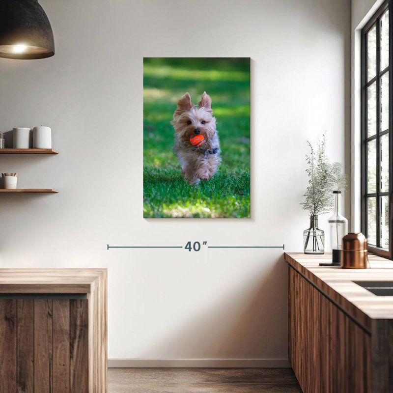 Playful Yorkie, 36" H x 24" W