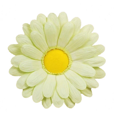 Daisy Arrangement