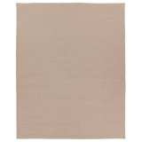 Area Rug in Beige