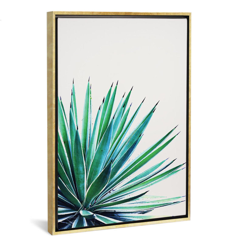 « agave love »-impression sur l’image, H 60 po x l 40po x P 1,5 po, Toile encadrée d'or