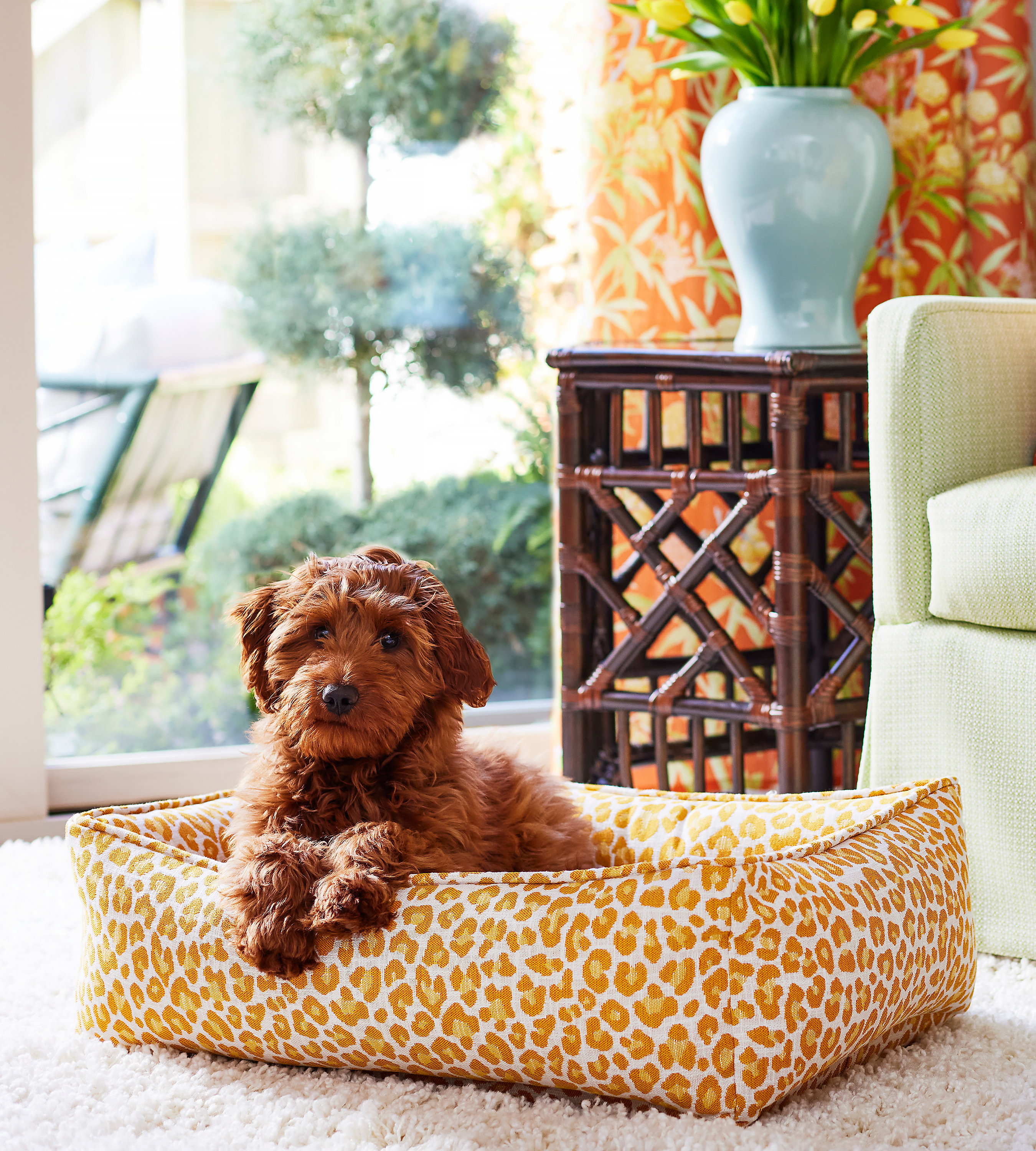 Small Calming Dogs Bed for Small Dogs Anti-Anxiety Machine Washable Fluffy  Luxury Anti-Slip Waterproof Mute Base Warming Cozy Soft Pet Puppy Round Bed