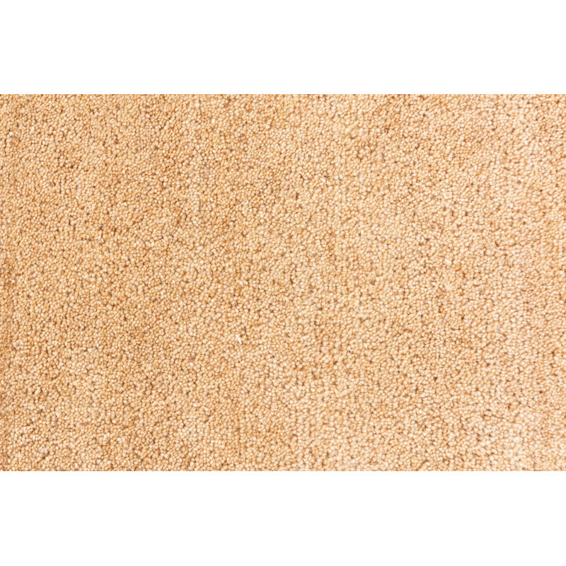 Neff Beige Rug