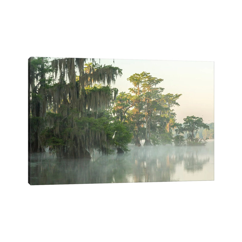 USA, Louisiana, Lake Martin. Foggy Sunrise On Swamp. by Jaynes Gallery - Wrapped Canvas Gallery-Wrapped Canvas Giclée