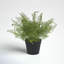 Plante à feuillage artificiel en pot