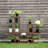 Dharminder Plant Stand