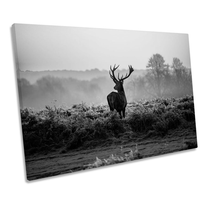 Stag Deer Sunset B&W - Wrapped Canvas Print, 50.8cm H x 76.2cm W x 2cm D